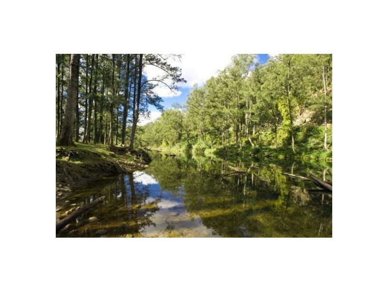 635 Gordonville Road, Bellingen NSW 2454