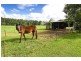635 Gordonville Road, Bellingen NSW 2454