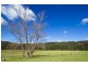 635 Gordonville Road, Bellingen NSW 2454