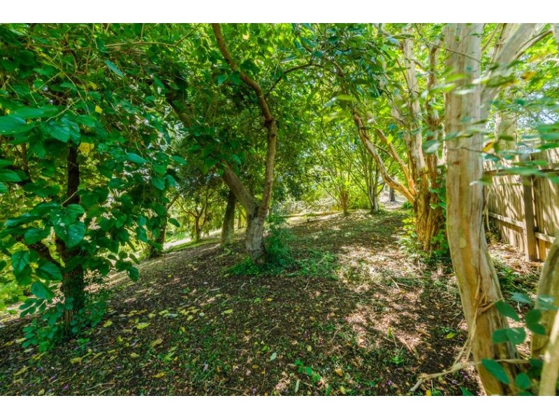 8 Casuarina Avenue, Bellingen NSW 2454