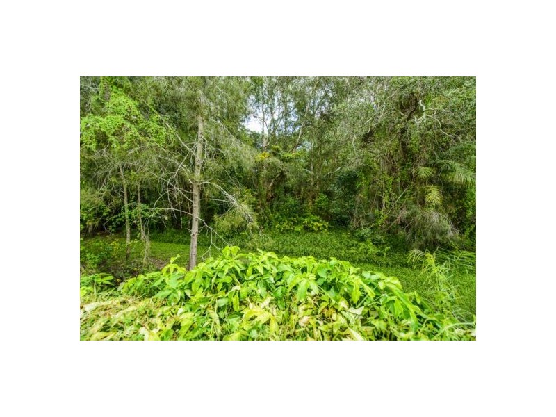 23 Bellingen Street, Urunga NSW 2455