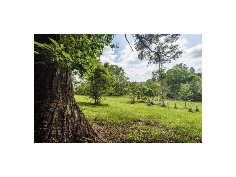 Lot 8 7-11 Hyde St Fernmount, Bellingen NSW 2454