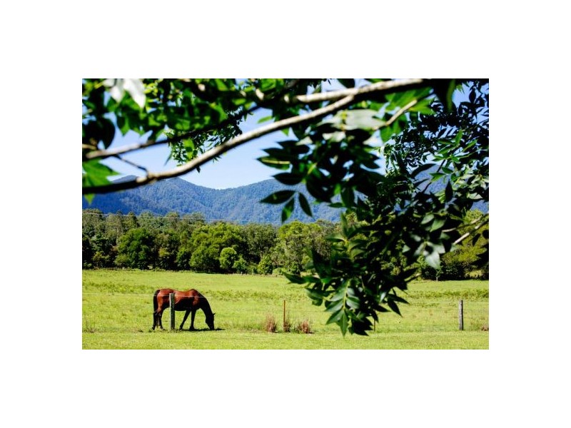 1090 Promised Land Rd, Gleniffer NSW 2454