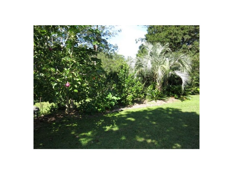 19 Horseshoe Road, Bellingen NSW 2454