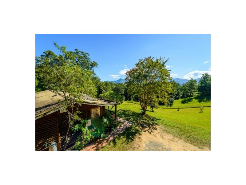 645 Gleniffer Road, Bellingen NSW 2454