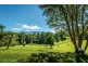 645 Gleniffer Road, Bellingen NSW 2454