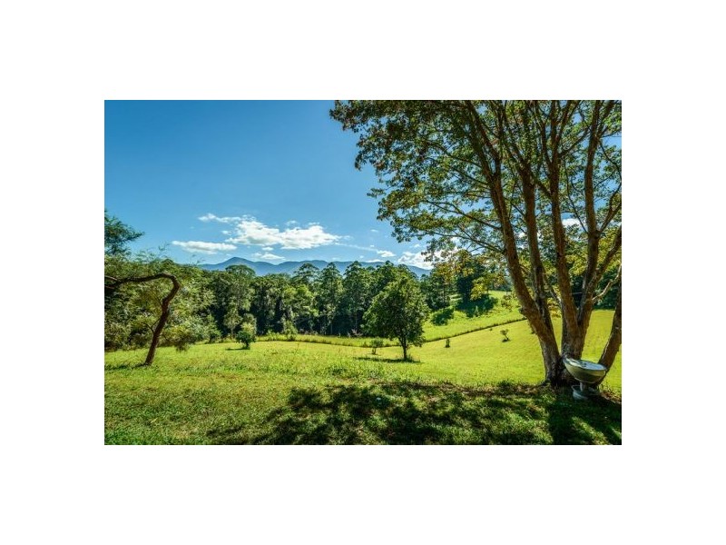 645 Gleniffer Road, Bellingen NSW 2454
