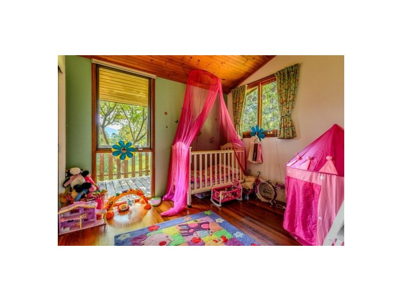 645 Gleniffer Road, Bellingen NSW 2454
