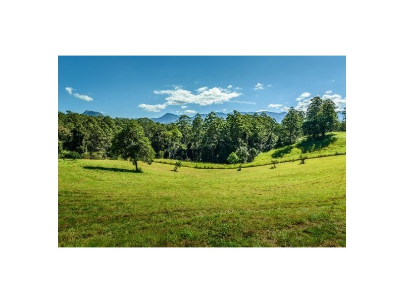 645 Gleniffer Road, Gleniffer, Bellingen NSW 2454