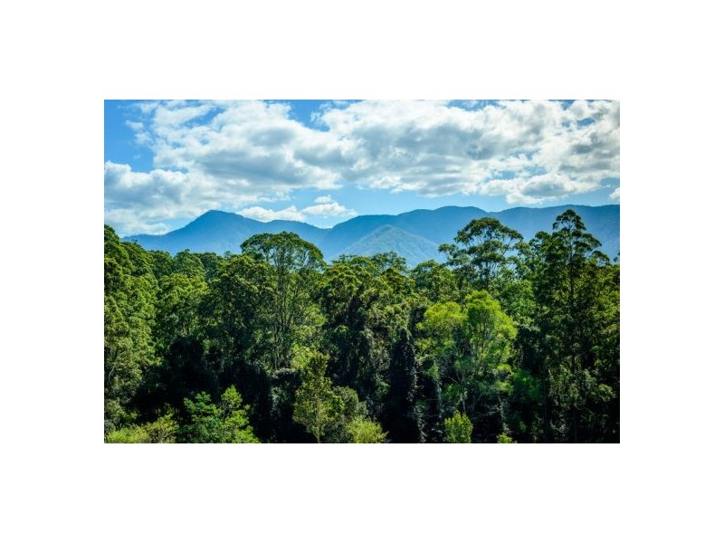 645 Gleniffer Road, Gleniffer, Bellingen NSW 2454