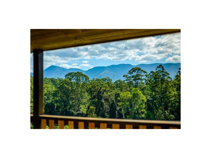 645 Gleniffer Road, Gleniffer, Bellingen NSW 2454