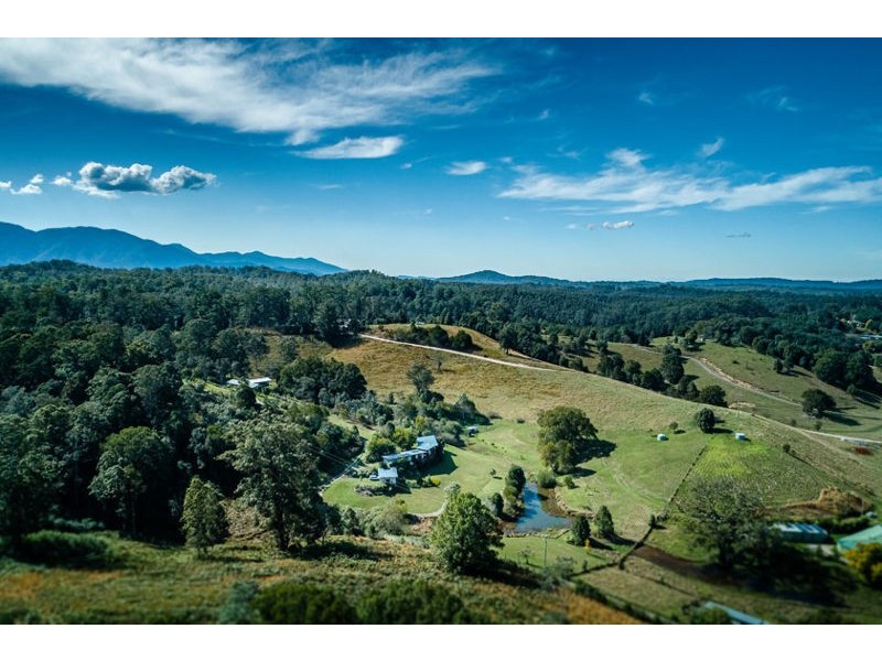 188 Gleniffer Rd, Bellingen NSW 2454