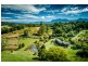188 Gleniffer Rd, Bellingen NSW 2454