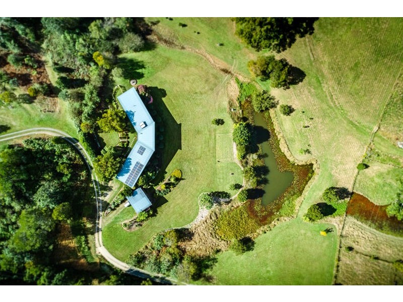 188 Gleniffer Rd, Bellingen NSW 2454