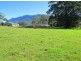 1882 Waterfall Way, Bellingen NSW 2454