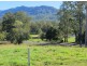 1882 Waterfall Way, Bellingen NSW 2454