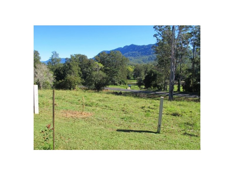 1882 Waterfall Way, Bellingen NSW 2454