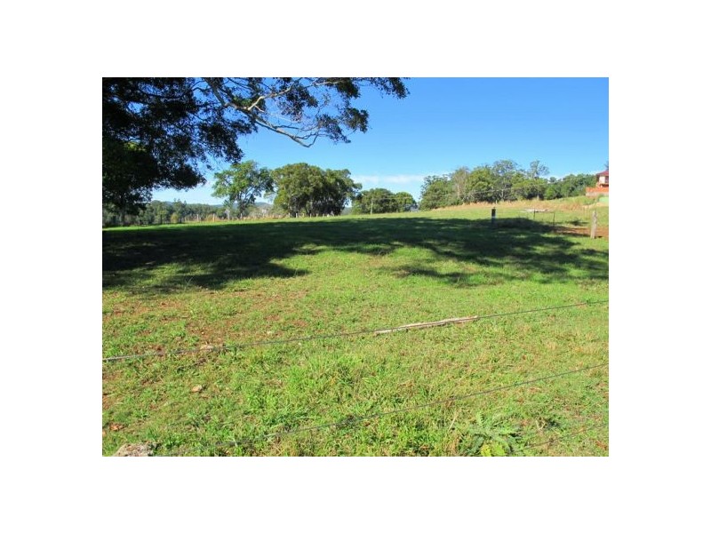 1882 Waterfall Way, Bellingen NSW 2454