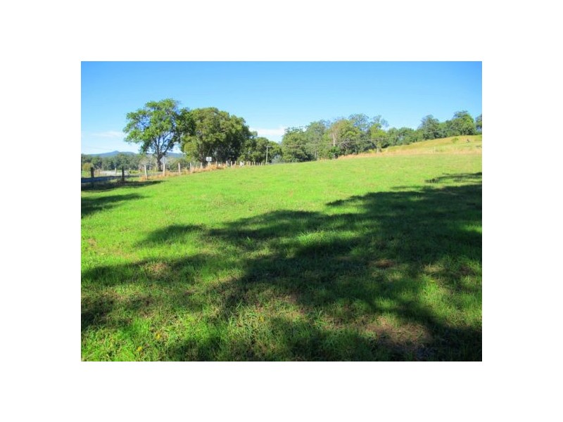1882 Waterfall Way, Bellingen NSW 2454