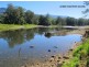 1882 Waterfall Way, Bellingen NSW 2454