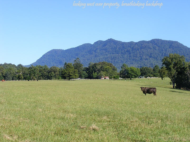 Farm 287 Roses Road, Bellingen NSW 2454