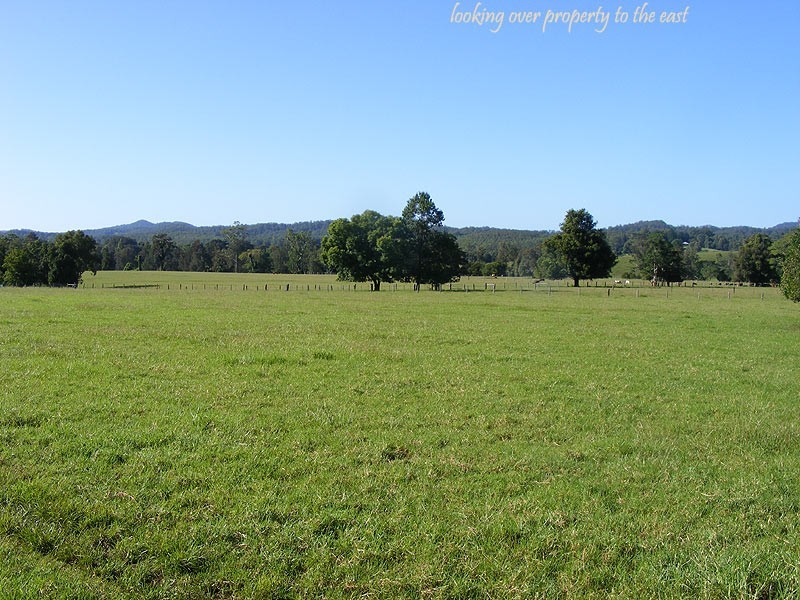 Farm 287 Roses Road, Bellingen NSW 2454