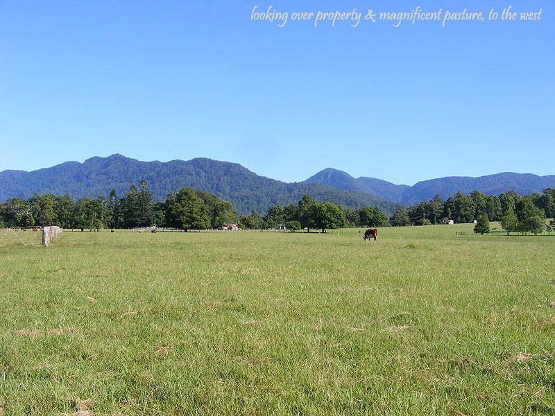 Farm 287 Roses Road, Bellingen NSW 2454