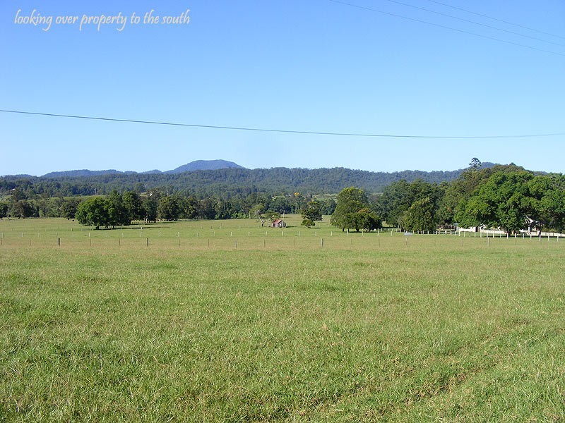 Farm 287 Roses Road, Bellingen NSW 2454