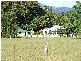 Farm 287 Roses Road, Bellingen NSW 2454