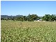 Farm 287 Roses Road, Bellingen NSW 2454