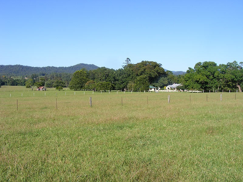 Farm 287 Roses Road, Bellingen NSW 2454