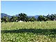 Farm 287 Roses Road, Bellingen NSW 2454