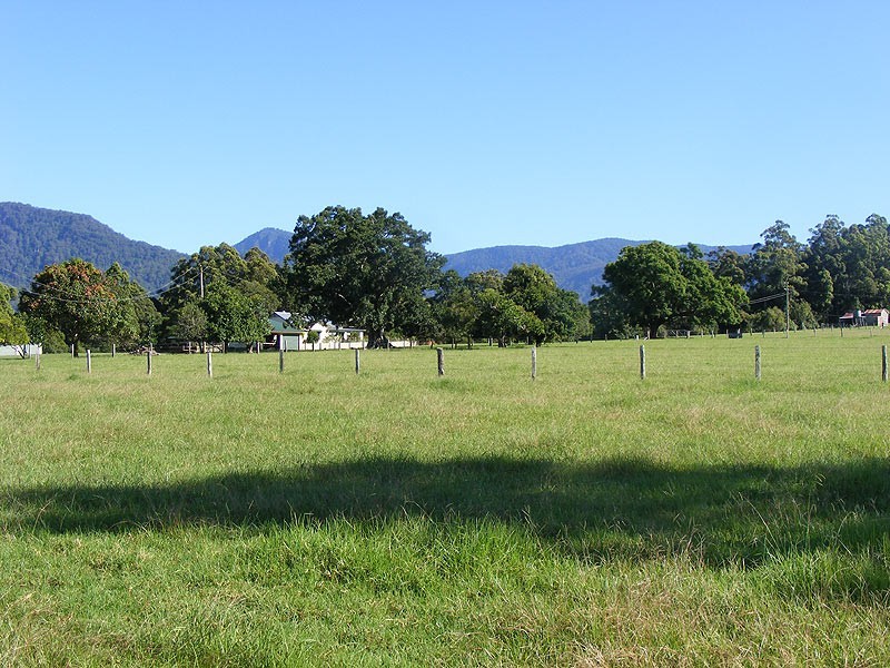 Farm 287 Roses Road, Bellingen NSW 2454