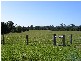 Farm 287 Roses Road, Bellingen NSW 2454