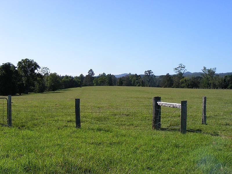 Farm 287 Roses Road, Bellingen NSW 2454