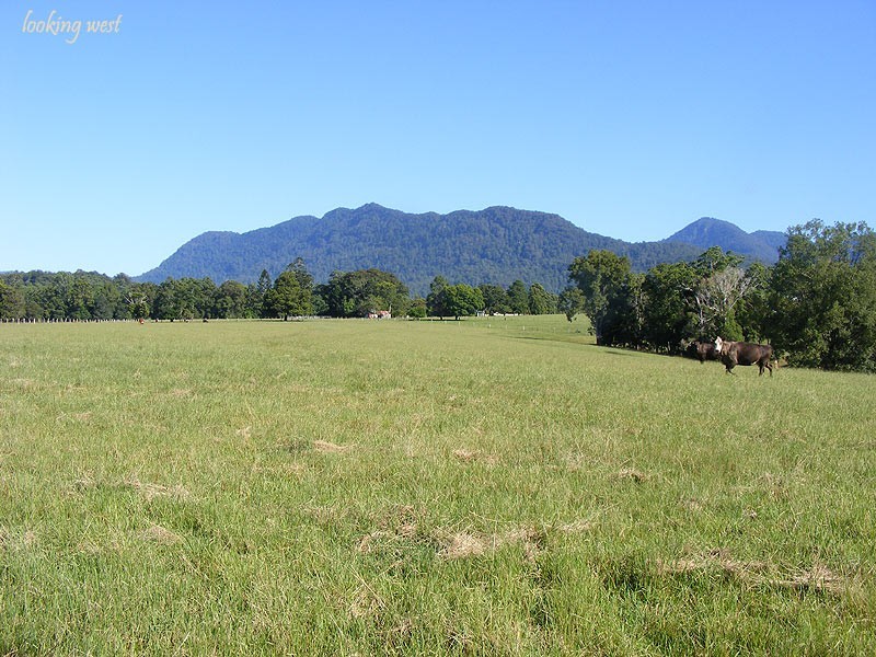 Farm 287 Roses Road, Bellingen NSW 2454