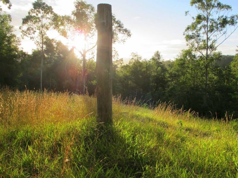 229/242 Bowraville Rd Missabotti, Bellingen NSW 2454