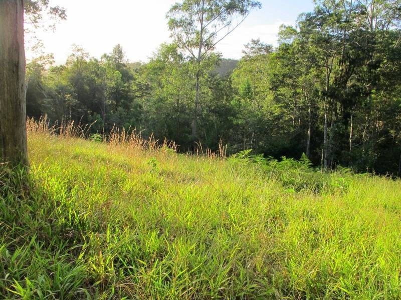 229/242 Bowraville Rd Missabotti, Bellingen NSW 2454