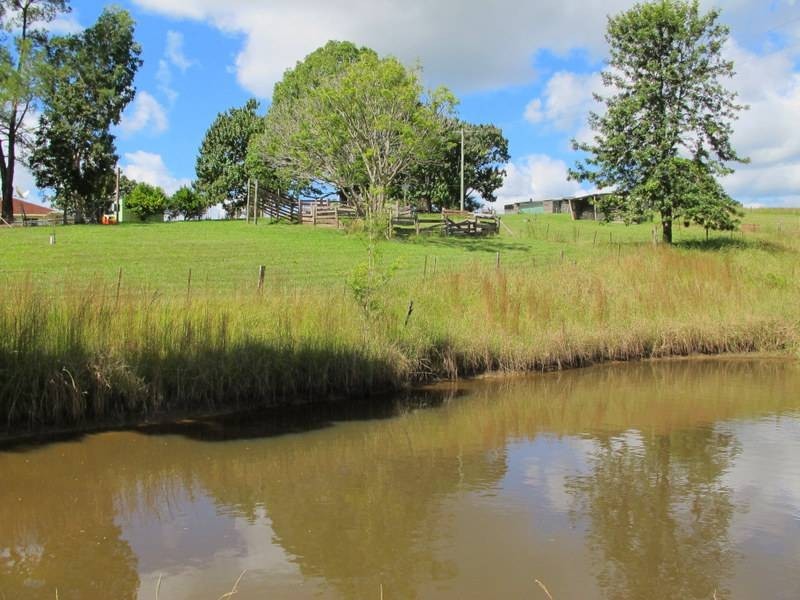 39 John Glyde Rd, Bellingen NSW 2454