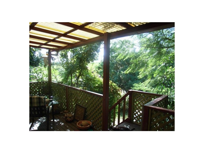 669 Waterfall Way, Bellingen NSW 2454