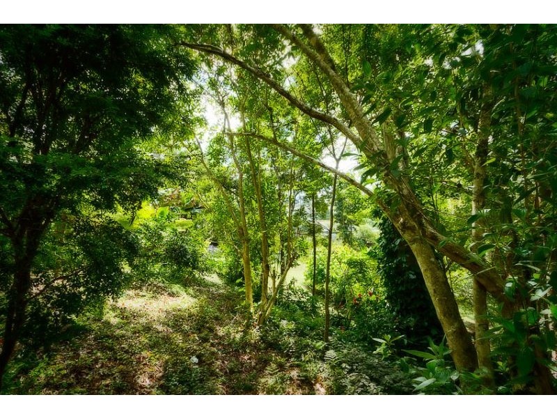 32 Hill St, Bellingen NSW 2454