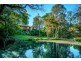 50 Wheatley St, Bellingen NSW 2454