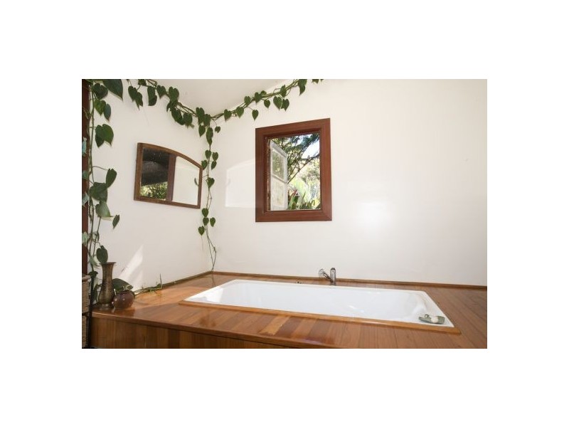 319 North Bank Rd, Bellingen NSW 2454