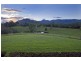 490 Roses Road, Bellingen NSW 2454