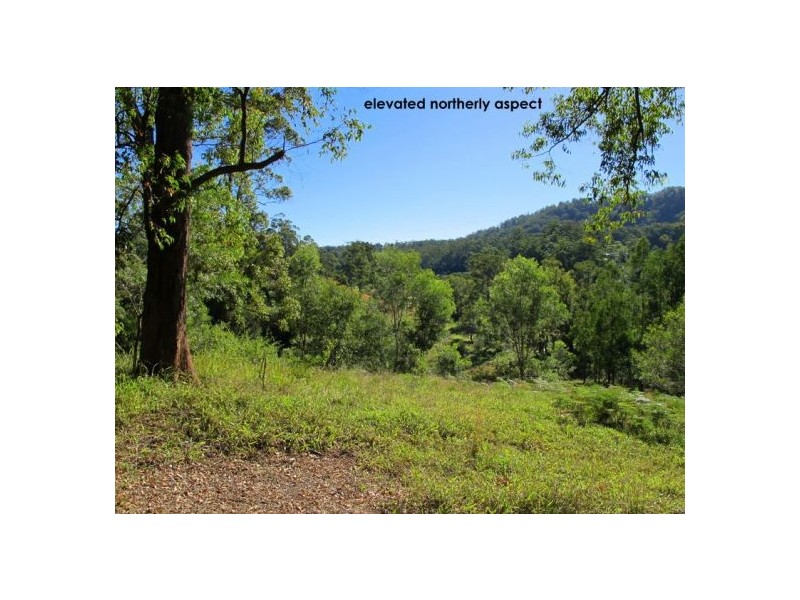 1690 Bowraville Road, Bellingen NSW 2454