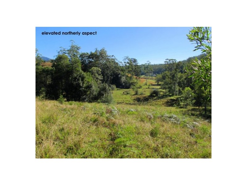 1690 Bowraville Road, Bellingen NSW 2454