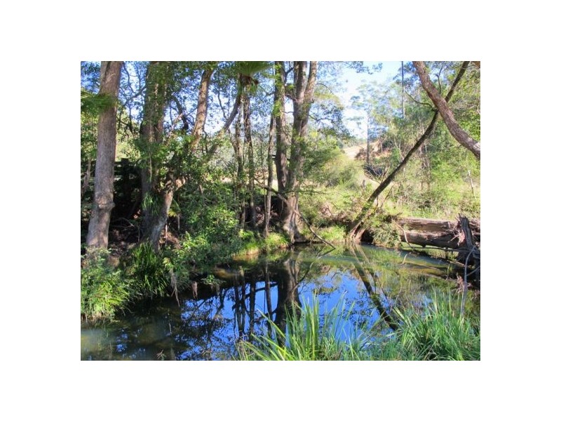 1690 Bowraville Road, Bellingen NSW 2454