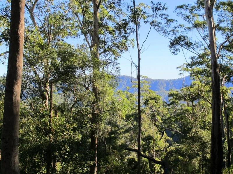 Lot 95 & 302 Kennaicle Creek Road, Missabotti NSW 2449