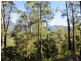 Lot 95 & 302 Kennaicle Creek Road, Missabotti NSW 2449