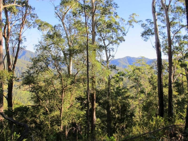 Lot 95 & 302 Kennaicle Creek Road, Missabotti NSW 2449